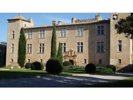 un grand deux pièces au sein du château historique de cambous