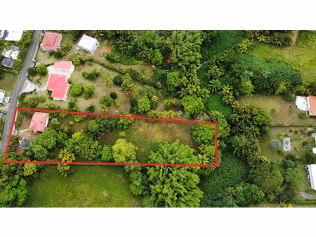 à vendre – terrains viabilisés à petit-bourg – secteur la grippière