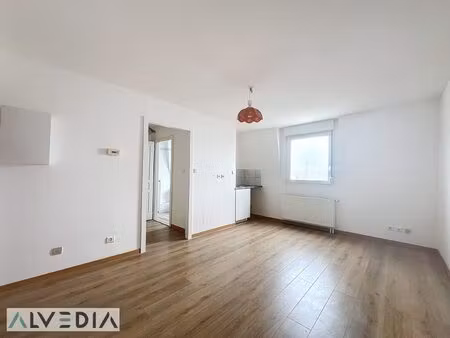 location appartement 1 pièce 24m² erstein 67150
