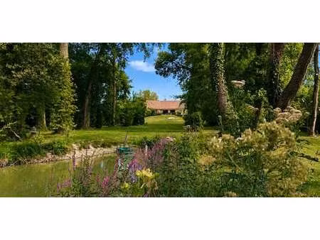 maison avec piscine et jardin warmeriville (51)