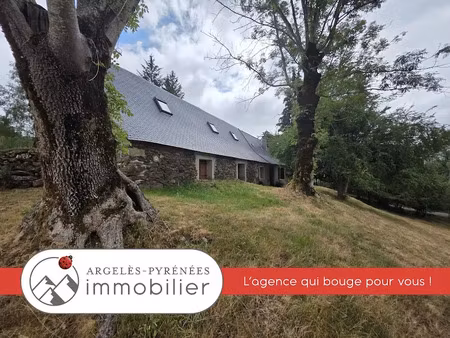 vente maison 8 pièces 150 m² à arrens-marsous (65400)  296 800 €