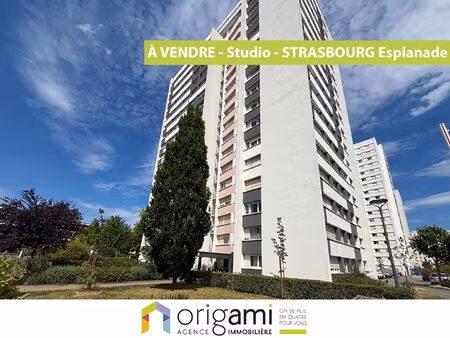appartement strasbourg 1 pièce - esplanade