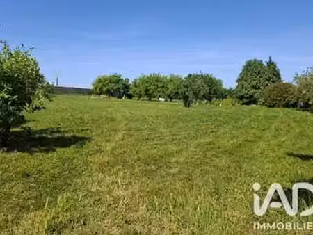 vente terrain à maine-de-boixe (16230) : à vendre / 4678m² maine-de-boixe