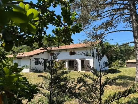 maison de résinier - 200m2 - 5 chambres - bureau - 9310m2 terra