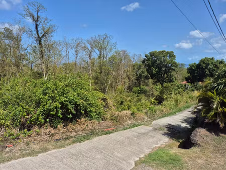 grand terrain a vendre - pointe noire - section morphy