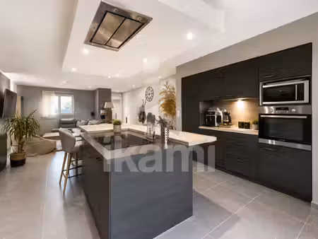 maison 120 m2 avec terrasse  piscine et poolhouse au bord de la viarhôna à charmes/rhône