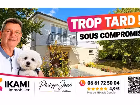 maison de 89 m² à villeneuve l archeveque - 99 000 €