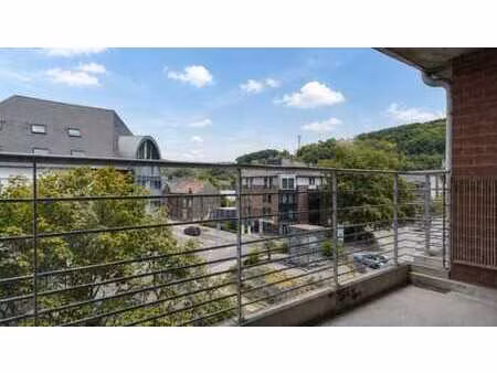 appartement deux chambres à vendre à andenne