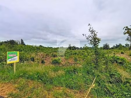 terrain à vendre à elsenborn € 140.000 (lq68p) - immo nyssen | zimmo