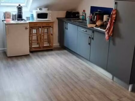 appartement 1 ch. lum. avec velux  epc c