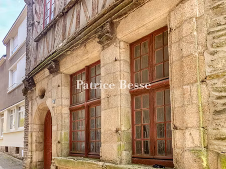 hôtel particulier à vendre à ploërmel
