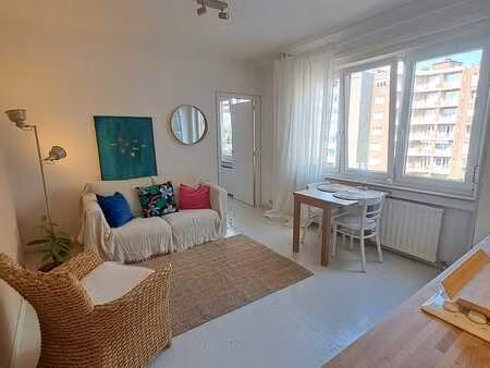 appartement 1 chambre à etterbeek  lumineux et cosy