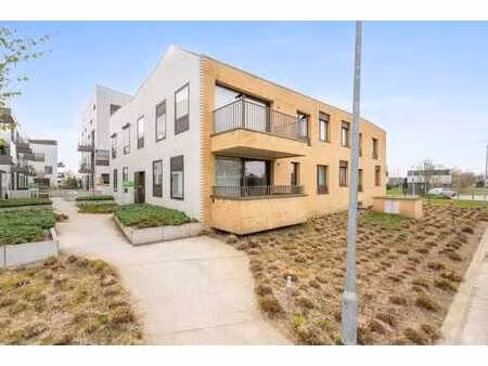 appartement assisté avec terrasse à puurs ( epc a )