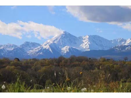 vente propriété 5 pièces 400 m² à momères (65360)  550 000 €