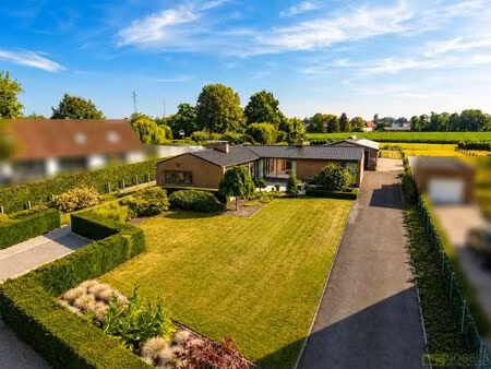 bien professionnel à vendre à oudenaarde € 875.000 (lqf0b) - immo nobels | zimmo