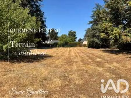 vente terrain à guémené-penfao (44290) : à vendre / 1624m² guémené-penfao