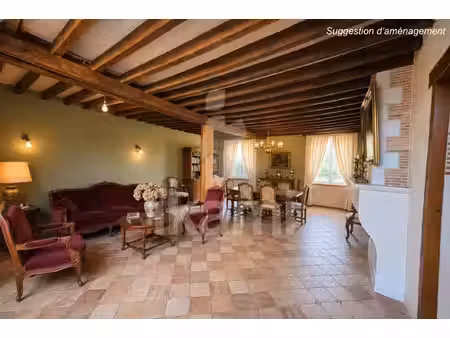au cœur d'artenay maison de caractère aux volumes exceptionnels 210m2 habitables plus...