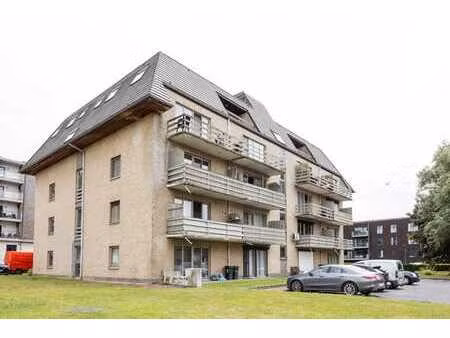 à louer : studio rénové avec terrasse et peb b