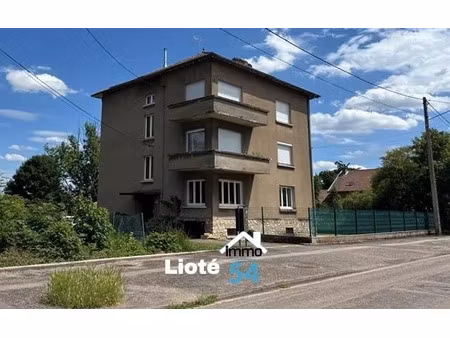 vente appartement 4 pièces 93 m² à bayon (54290)  149 000 €