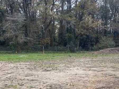 vente terrain à la haie-fouassière (44690) : à vendre / 400m² la haie-fouassière