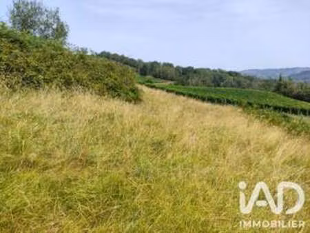 vente terrain à monein (64360) : à vendre / 1000m² monein