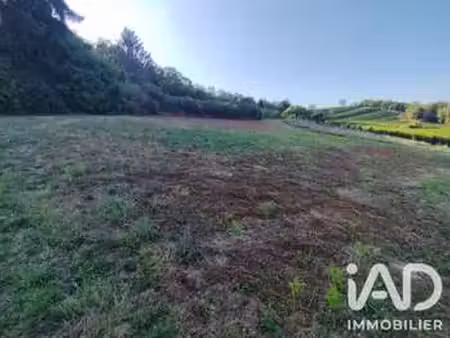 vente terrain à monein (64360) : à vendre / 1500m² monein