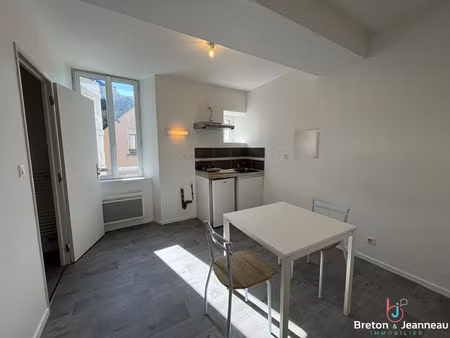 appartement t1 bis - 25m2 - laval - quartier avesnières