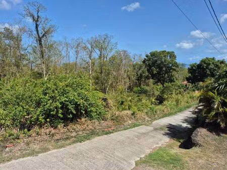 terrain constructible à vendre - neuf