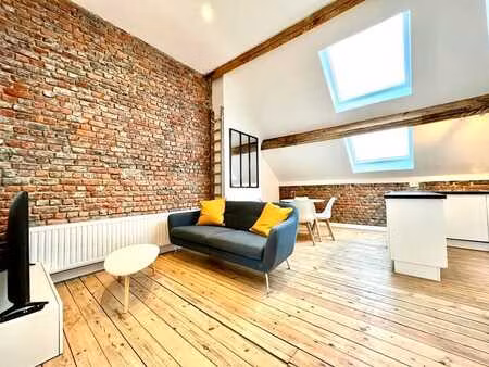 apartment 1 bedroom fully renovated and furnished
