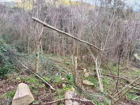 vente terrain à batir 1500 m² à sagone (20118)  115 000 €