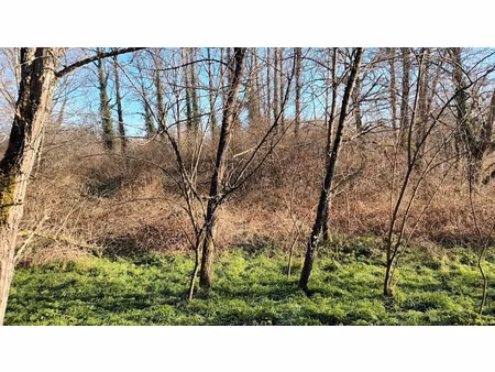 vente terrain à batir 5516 m² à villandraut (33730)  12 500 €