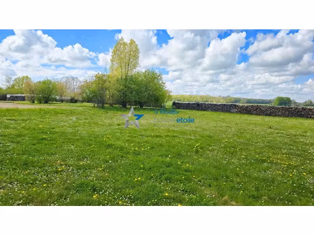vente terrain à batir 1049 m² à richebourg (52120)  25 000 €