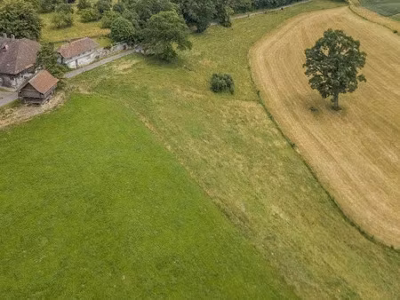 vente terrain 342 m² à la roche-sur-yon (85000)  63 000 €