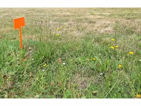 vente terrain 535 m² à saint-viaud (44320)  67 500 €