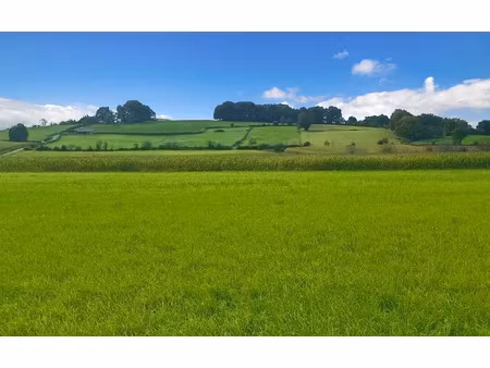 vente terrain 11000 m² à bidache (64520)  308 000 €