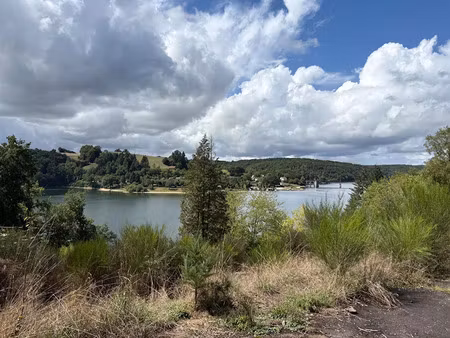 vente terrain 5506 m² à lacapelle-viescamp (15150)  270 000 €