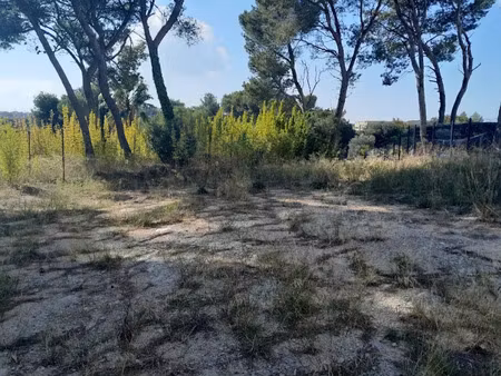 vente terrain 310 m² à septemes-les-vallons (13240)  110 000 €