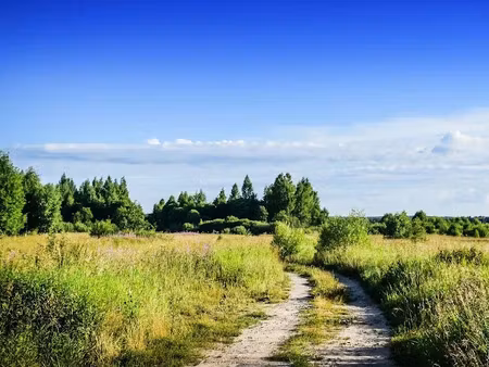 vente terrain 466 m² à bretignolles-sur-mer (85470)  94 000 €