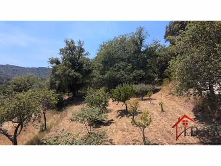 vente terrain 1557 m² à collobrières (83610)  170 000 €