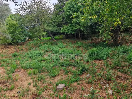 vente terrain 1027 m² à falicon (06950)  339 000 €