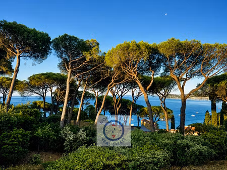 vente terrain 1700 m² à la croix-valmer (83420)  3 500 000 €