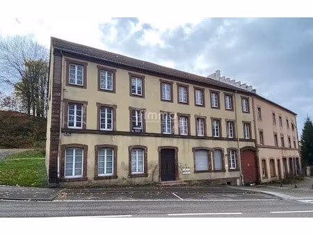 vente immeuble 22 pièces 463.34 m² à bitche (57230)  230 000 €