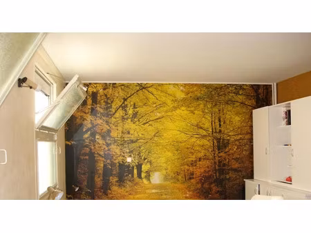 location appartement 1 pièce 25 m² à poitiers (86000)  400 €