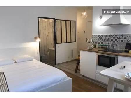 location meublée appartement 1 pièce 24 m² à lyon 3ème (69003)  1 050 €