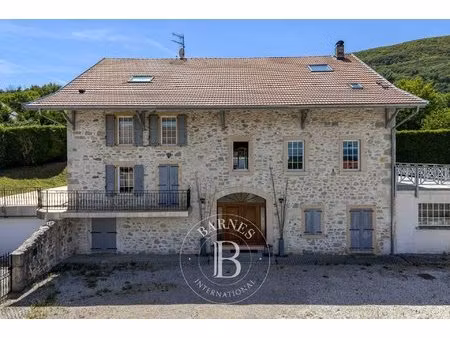chevrier - centre village - propriete de caractere du xixeme siecle