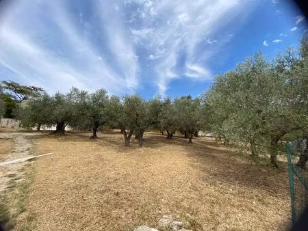 terrain à vendre
