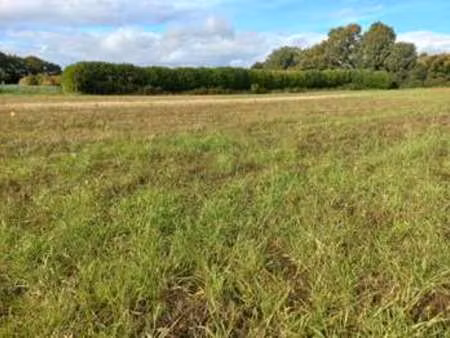 vente terrain à pleurtuit (35730) : à vendre / pleurtuit