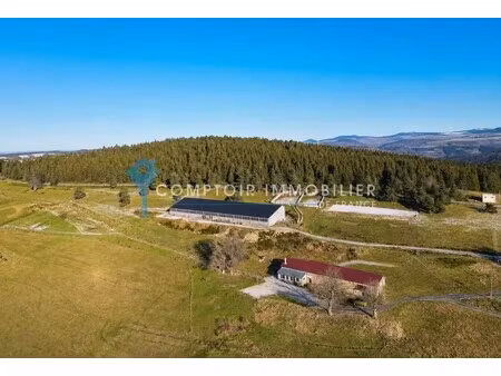 maison mazan-l'abbaye - 6 chambres - 280m²
