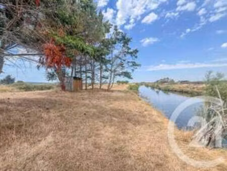 vente terrain à l'île-d'olonne (85340) : à vendre / 13290m² l'île-d'olonne