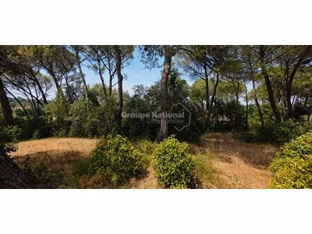 terrain constructible sabran 1567 m2